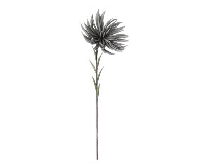 Crisantemo grigio h91